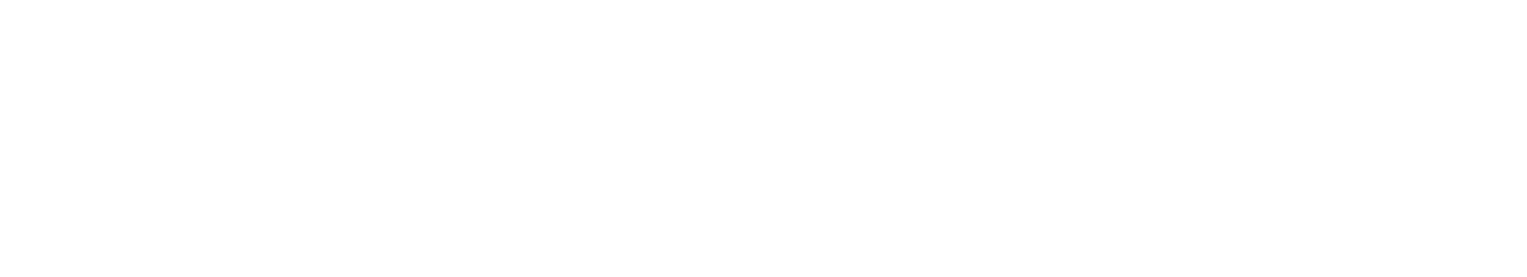 Volbird logo